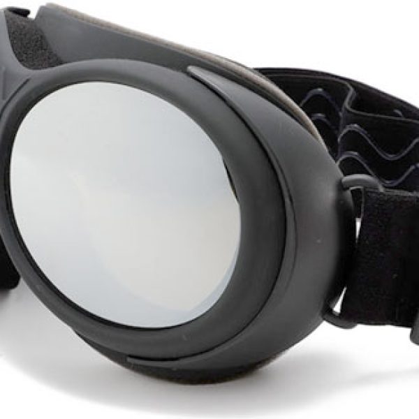 Dual lens snow goggles