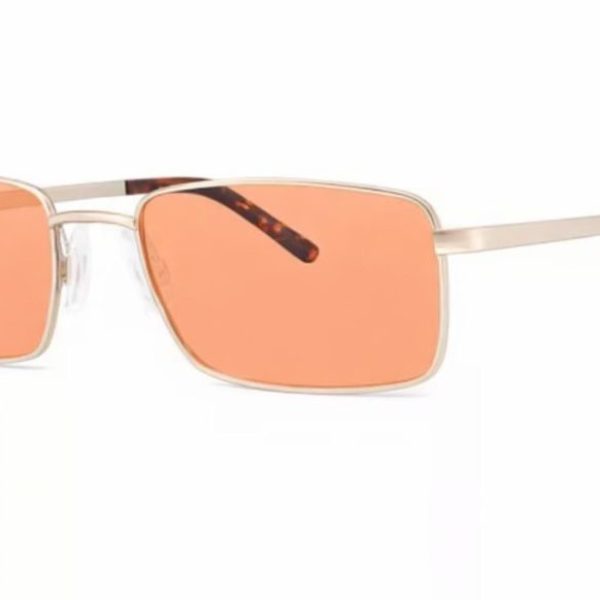 Unisex FL-41 glasses