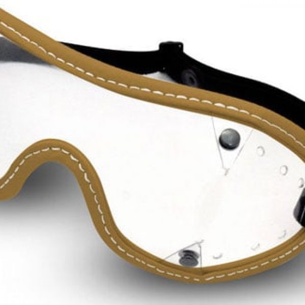 horse riding goggles